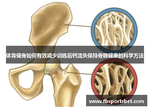 体育健身如何有效减少训练后钙流失保持骨骼健康的科学方法